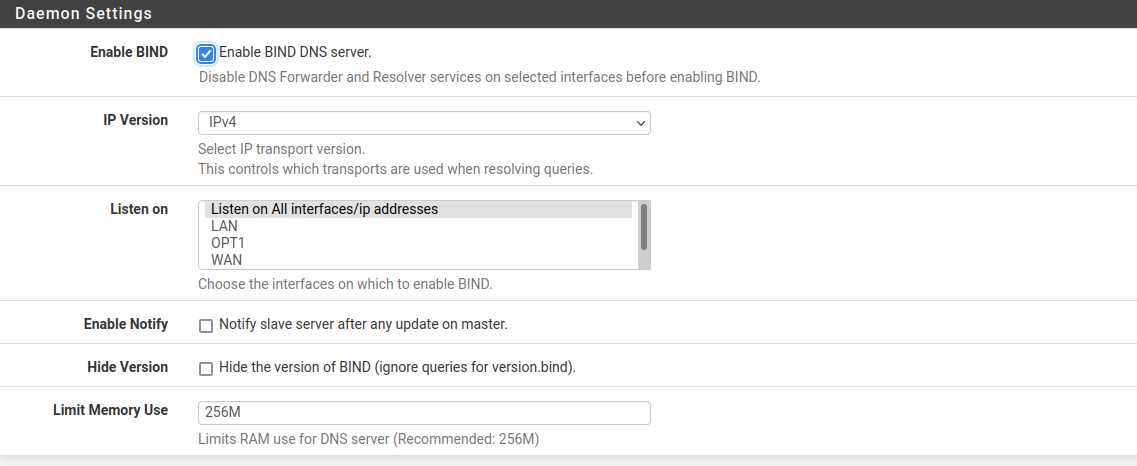 Pfsense Workshop PFSense DNS DHCP DNS-1.png
