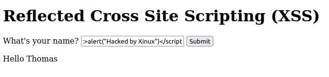 Cross-Site-Scripting-Reflected-2.png