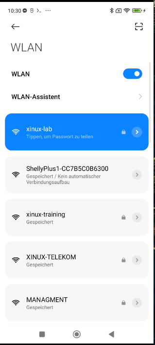 Home-Assistant-Shelly-5.png