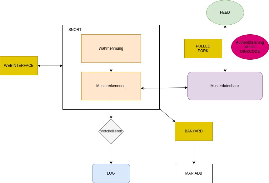 drawio: Snort Konzept