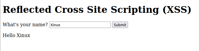 Cross-Site-Scripting-Reflected-12.png