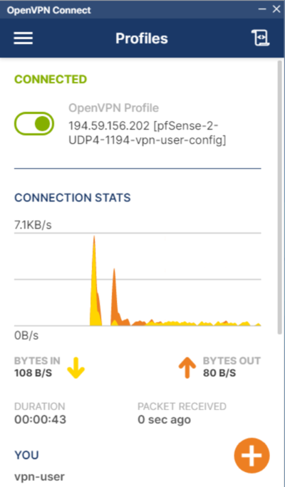 Pfsense Workshop PFSense OpenVPN Client-2.png