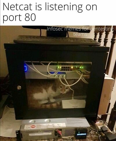 Netcat-1.png