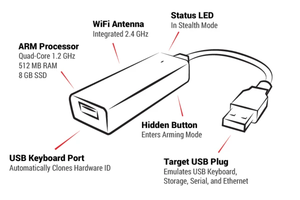 Key-croc-diagram1 600x.webp
