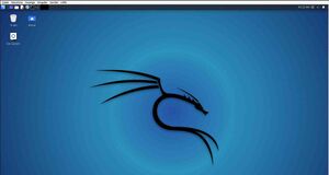 Kali Desktop Vm.jpg