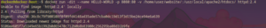 Docker-run.png